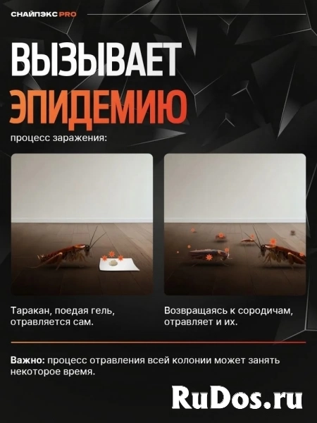 Средство от тараканов и муравьев эффективный мощный гель-шприц Снайпэкс PRO изображение 3