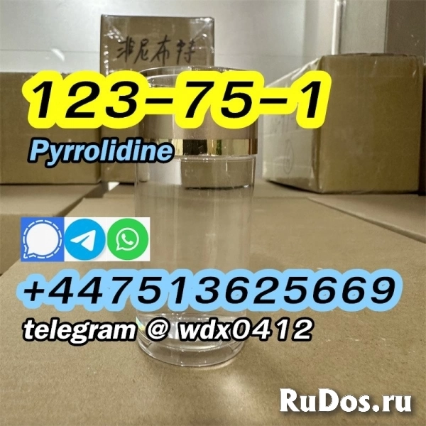 Buy China Factory Pyrrolidine, cas 123-75-1, Kazakhstan, Russia изображение 6