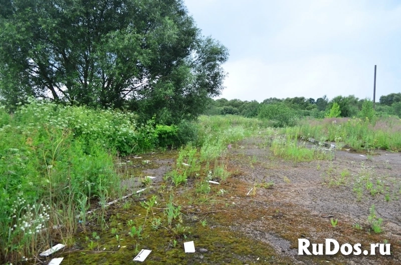 Продам коммерческую недвижимость 31.2 м2 изображение 8