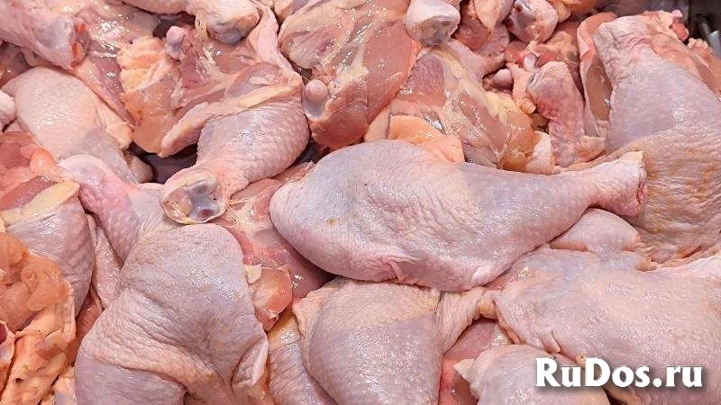 Мясо Говядина, Свинина, Птица опт, производство изображение 3