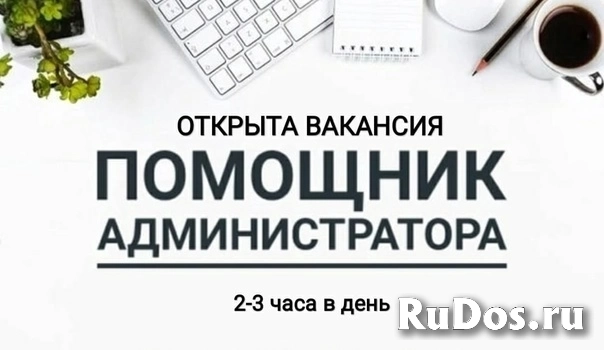 Помощник администратора фото