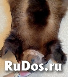 , частное объявление фотка