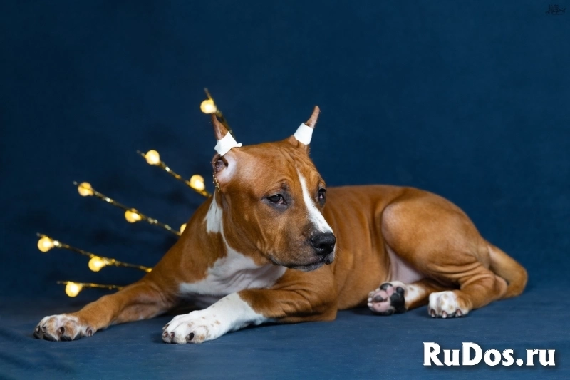 Красивая  девочка аст для души5 ме сяцев изображение 5