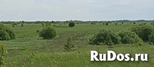 Продам коммерческую недвижимость 13000 сот фотка