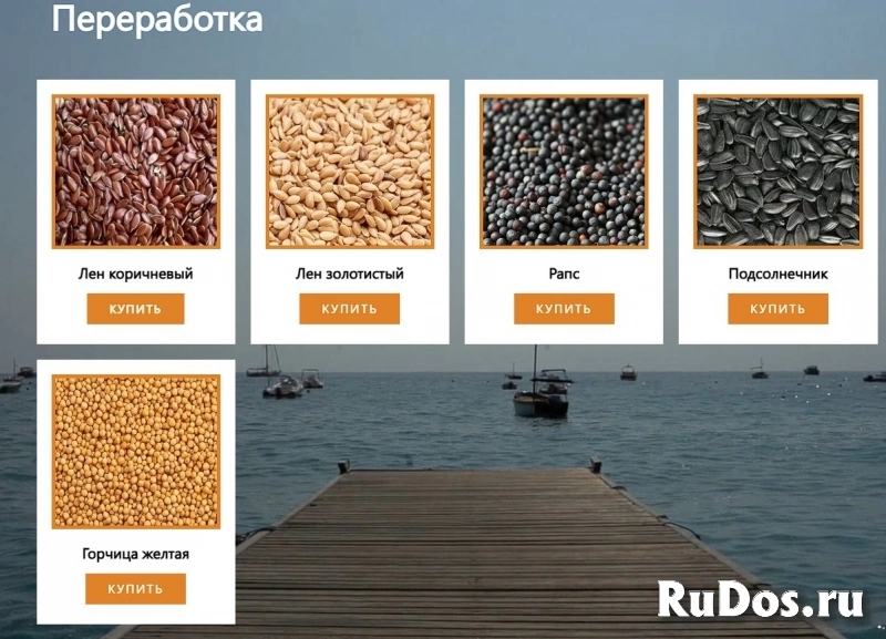 ООО Агропром - оптовая реализация продуктов питания экспорт изображение 5