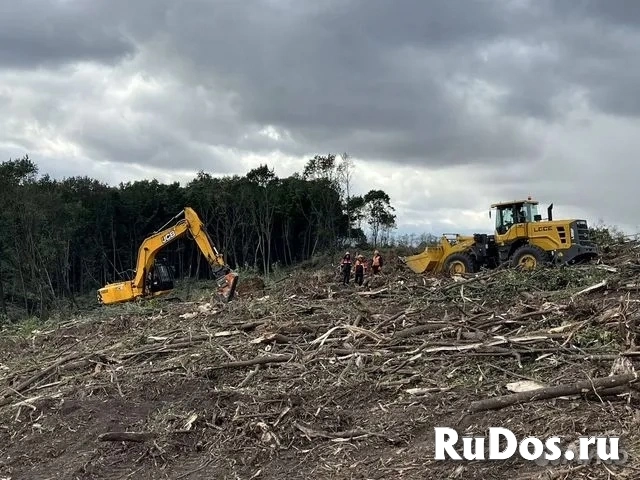 Расчистка территорий от деревьев и пней от 1 Га изображение 7
