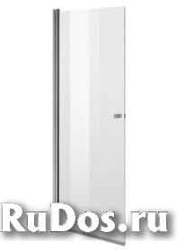 Душевая дверь в нишу AM.PM Inspire S W51G-D100-200-CT фото