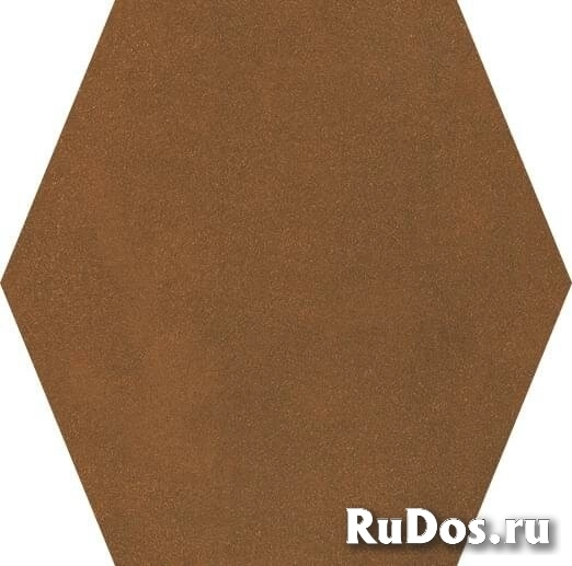 Керамогранит Cedit Metamorfosi Corten Patinato Esagono 24x35 фото