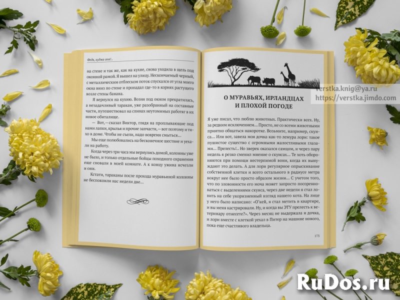 Верстаю бумажные книги изображение 4