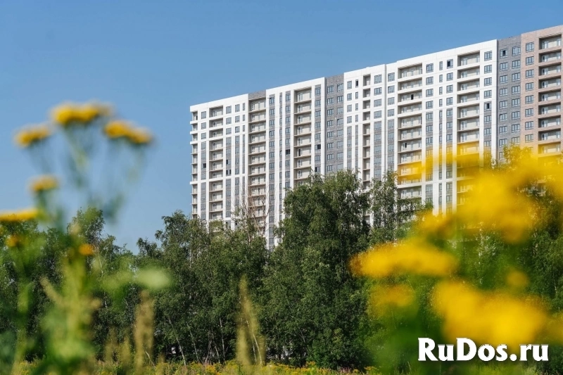 Продам коммерческую недвижимость 4.1 м2 изображение 5