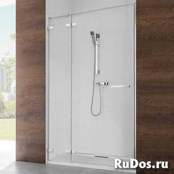 Душевая дверь в нишу Radaway Euphoria DWJ 100 L фото