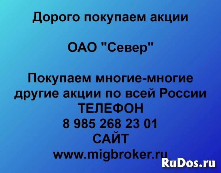 Покупаем акции ОАО Север и любые другие акции по всей России фото