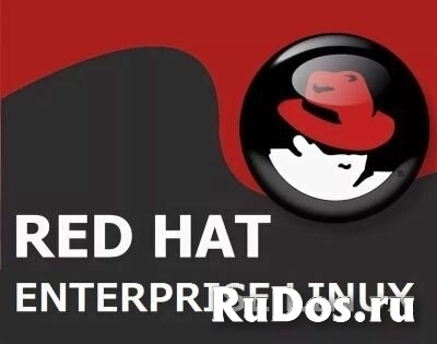 ПО по подписке (электронно) Red Hat Enterprise Linux Server, Standard (Physical or Virtual Nodes) 1 Year фото