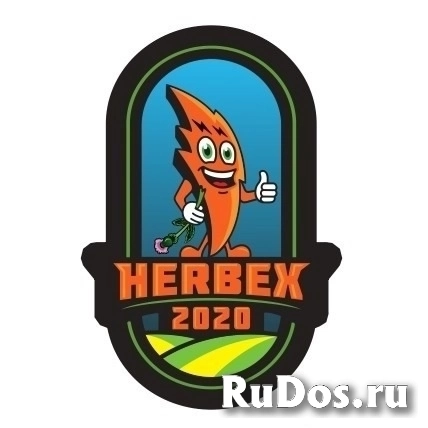 Акселератор роста Гербекс мф10 (HERBEX MF10) от ChemService фото