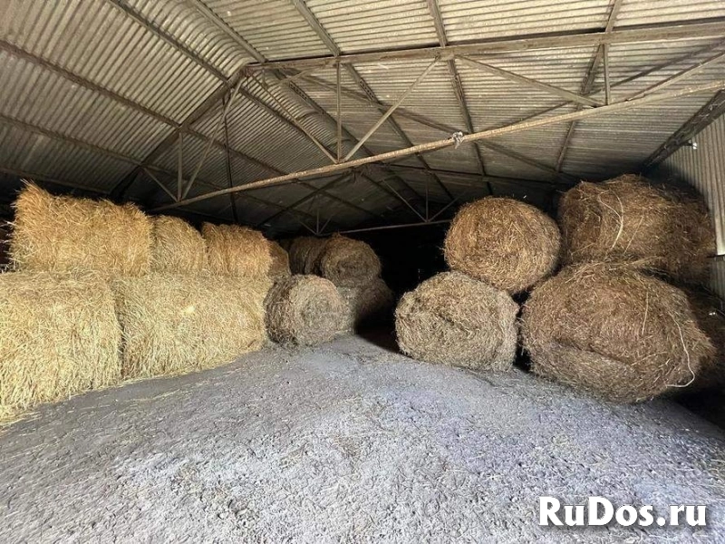 Продам коммерческую недвижимость 2699 м2 изображение 6