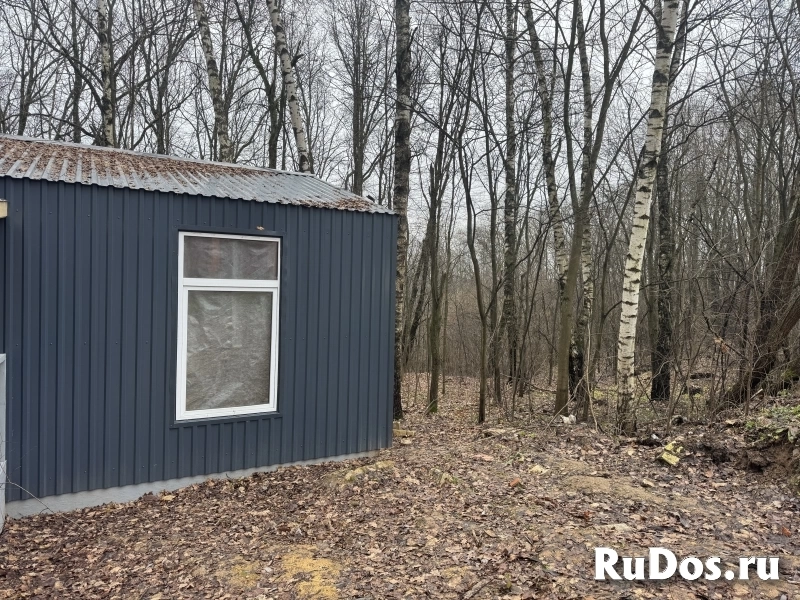 Прилесной участок с потрясающей природой изображение 8