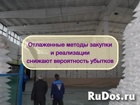 Инвестиции в оптовую торговлю Сахаром, доход 80% изображение 3