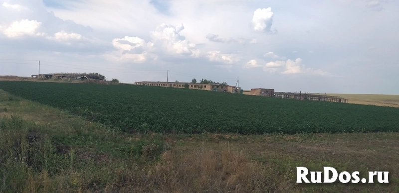 Продается  производственная база в Октябрьском, Оренбургская обл. Продается  производственная база изображение 3