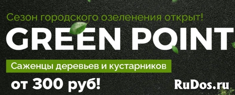 Крупномеры и саженцы из питомника в москве и московской области фото