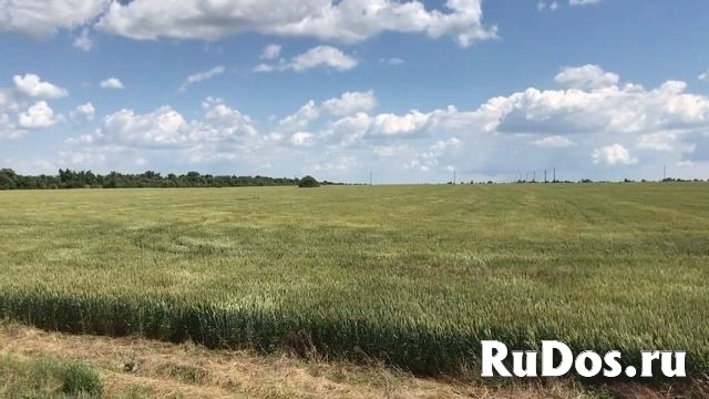 Участок 2.93 га в Ярославской области фото