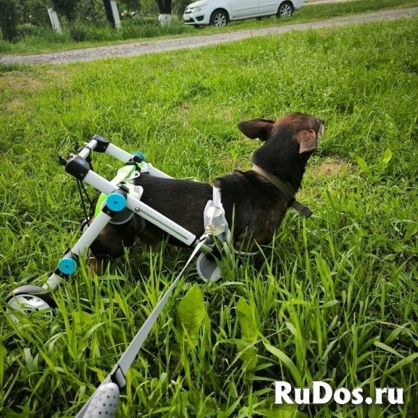Чудесный мальчик Митя из приюта ищет семью. изображение 7