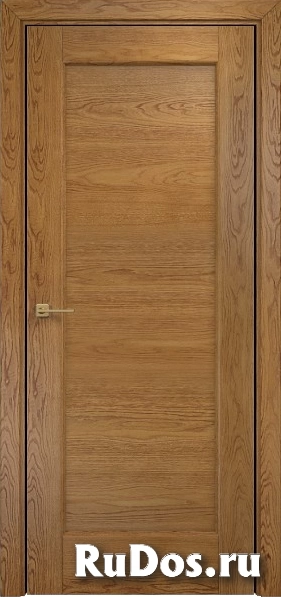 Межкомнатная дверь Оникс Техно (Дуб золотистый) глухая фото