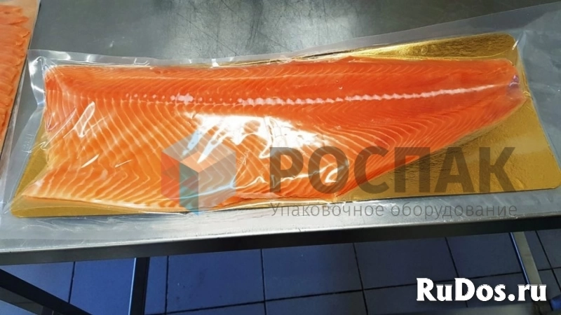Рыбный вакуумный упаковщик RVM-400 ROSPAK изображение 6