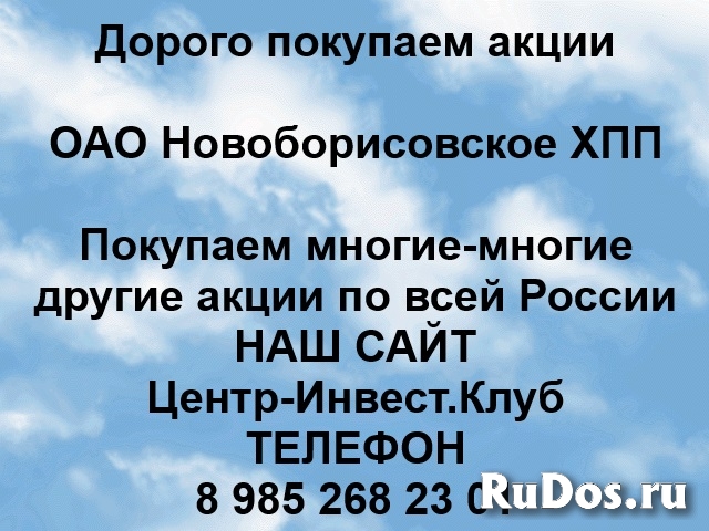 Покупаем акции ОАО Новоборисовское ХПП и любые другие акции фото