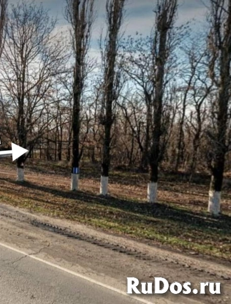 Продам участок 6 сот. изображение 3