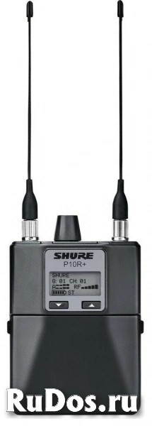 Shure P10R+ L9E поясной приемник системы персонального мониторинга PSM1000 фото