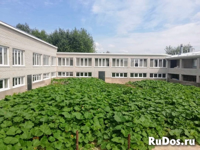 Продам коммерческую недвижимость 3000 м2 Завьялово объявление Продам коммерческую недвижимость 3000 м2 изображение 4