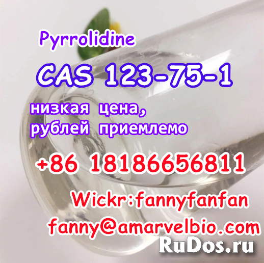 WhatsApp +8618186656811 CAS 123-75-1 Pyrrolidine фотка