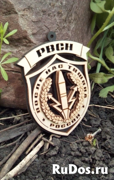 Эмблема рвсн на присоске изображение 8