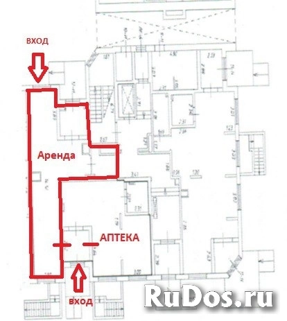 Сдам коммерческую недвижимость 60 м2 фото