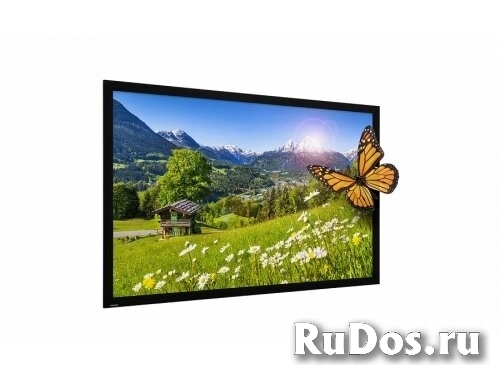 Экран Projecta HomeScreen Deluxe 140х236см (10600358) HD Progressive 0.6 фото