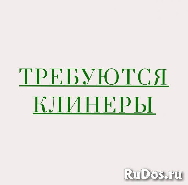 Специалист мобильной бригады (клинер) фото