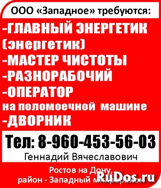 Главный энергетик (энергетик) Мастер чистоты Разнорабочий Оператор на поломоечной  машине Дворник фото