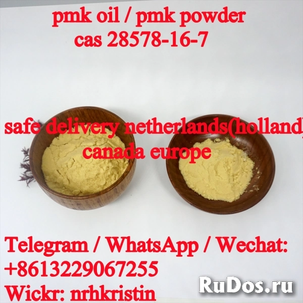 Pmk oil pmk powder Cas 28578-16-7 bmk powder 5449-12-7 bmk oil изображение 3