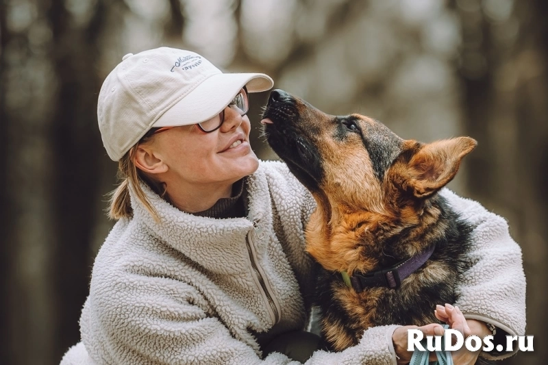 Фьючерс - настоящий медвежонок! В добрые руки изображение 4