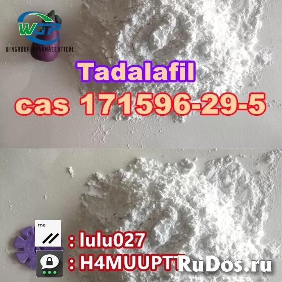 Hot Selling Tadalafil Powder CAS 171596-29-5 in Stock фото