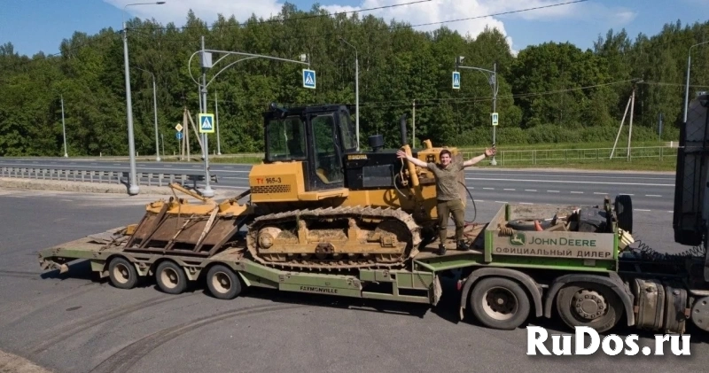 Расчистка участка мульчером от 1 Га, спил деревьев изображение 10