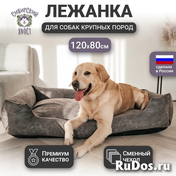 Лежанка для собак крупных пород со съемным чехлом 120х80 см фото