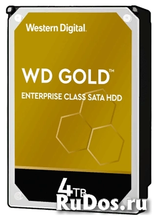 Жесткий диск Western Digital WD4003FRYZ фото