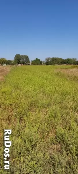 Участок ИЖС на берегу моря изображение 3