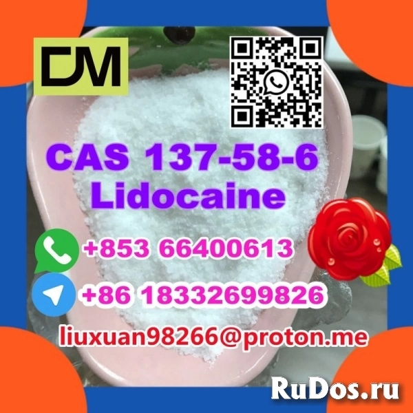 Manufacturer Supply Raw Material CAS 137-58-6 Lidocaine изображение 8