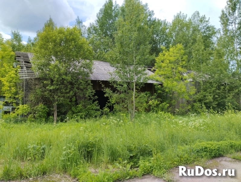 Продам коммерческую недвижимость 2623 м2 фотка