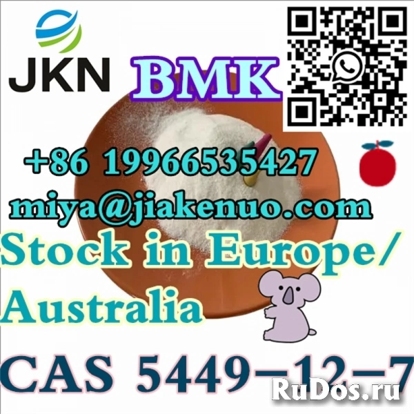 CAS 5449-12-7 Новая глицидовая кислота BMK (натриевая соль) изображение 5