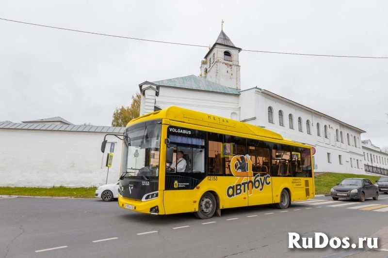 Водитель автобуса (ученик водителя) фото