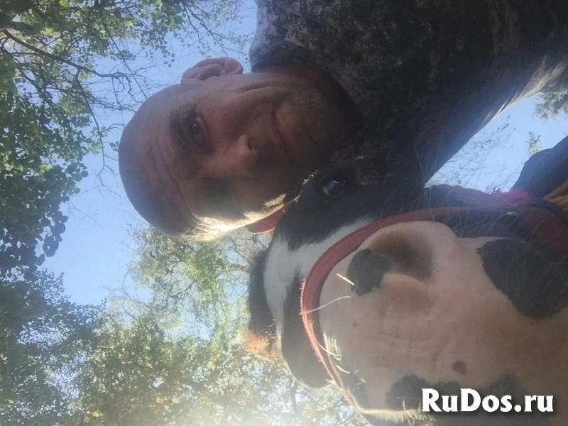 Познакомлюсь с девушкой от от 35 лет фотка