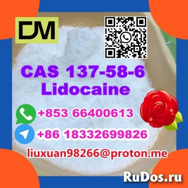 Manufacturer Supply Raw Material CAS 137-58-6 Lidocaine изображение 12